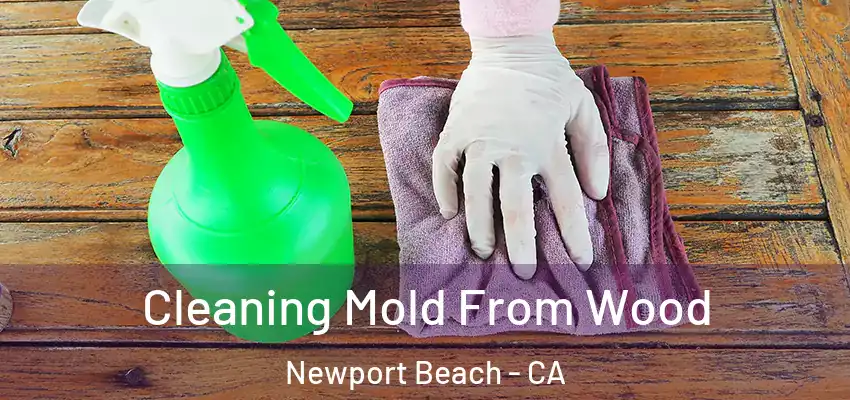  Cleaning Mold From Wood Newport Beach - CA