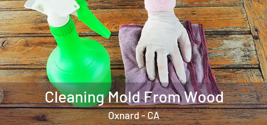  Cleaning Mold From Wood Oxnard - CA
