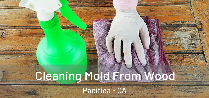  Cleaning Mold From Wood Pacifica - CA