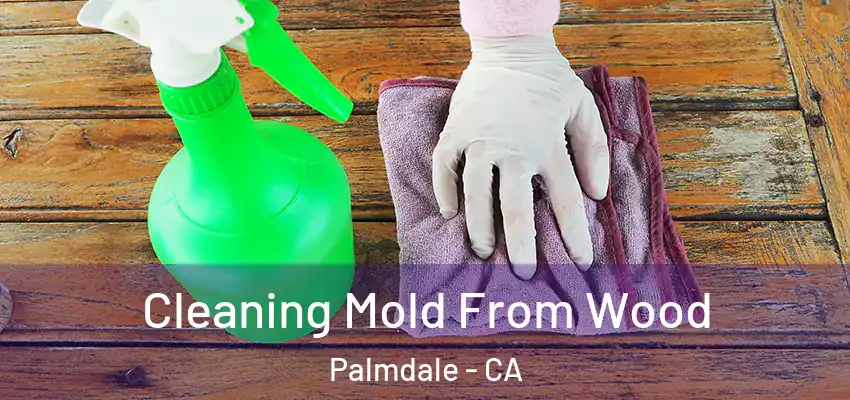  Cleaning Mold From Wood Palmdale - CA