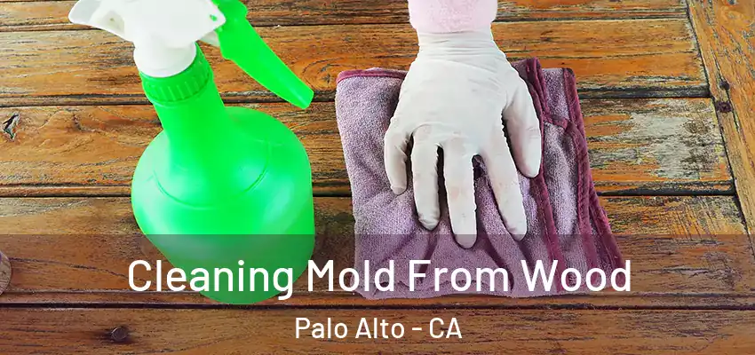 Cleaning Mold From Wood Palo Alto - CA