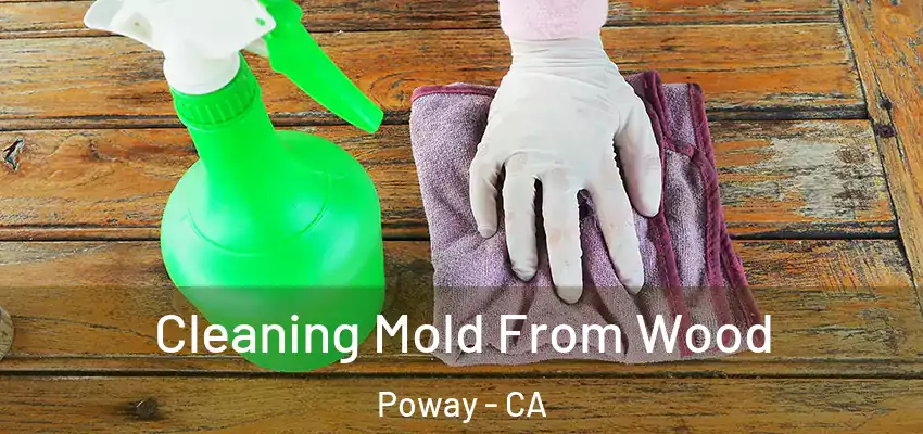  Cleaning Mold From Wood Poway - CA