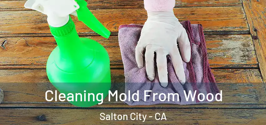  Cleaning Mold From Wood Salton City - CA
