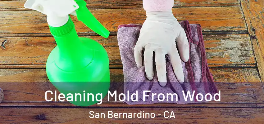  Cleaning Mold From Wood San Bernardino - CA