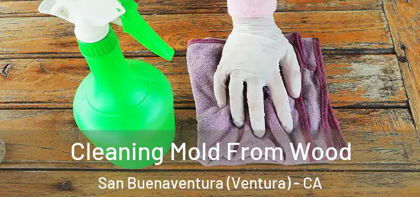  Cleaning Mold From Wood San Buenaventura (Ventura) - CA