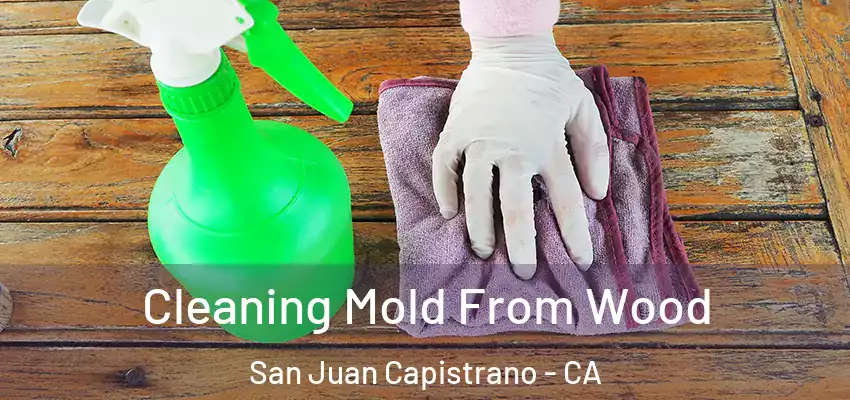 Cleaning Mold From Wood San Juan Capistrano - CA