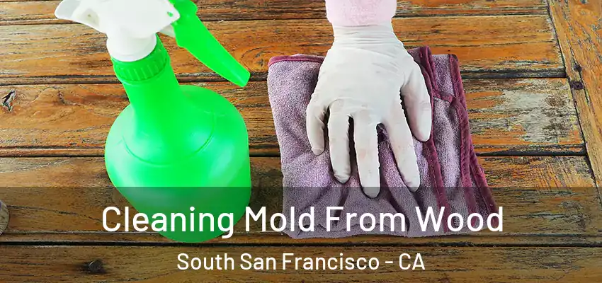  Cleaning Mold From Wood South San Francisco - CA