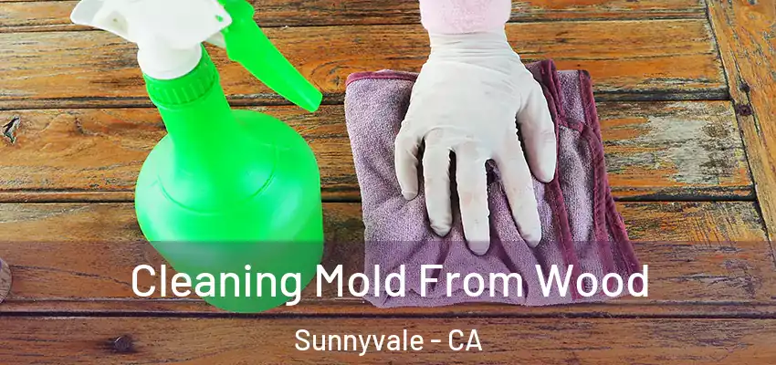  Cleaning Mold From Wood Sunnyvale - CA