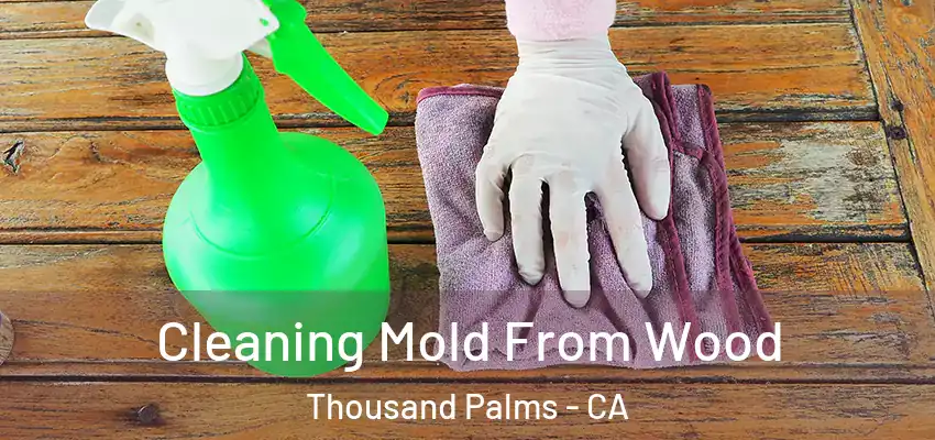  Cleaning Mold From Wood Thousand Palms - CA