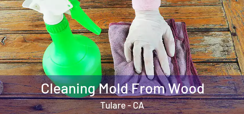  Cleaning Mold From Wood Tulare - CA