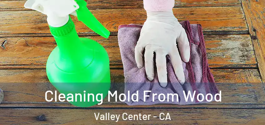  Cleaning Mold From Wood Valley Center - CA
