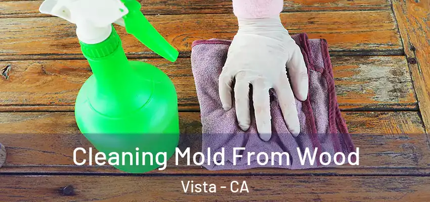  Cleaning Mold From Wood Vista - CA