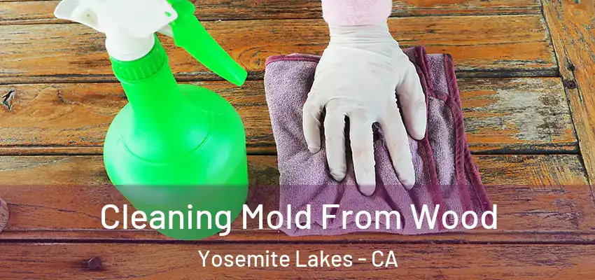  Cleaning Mold From Wood Yosemite Lakes - CA