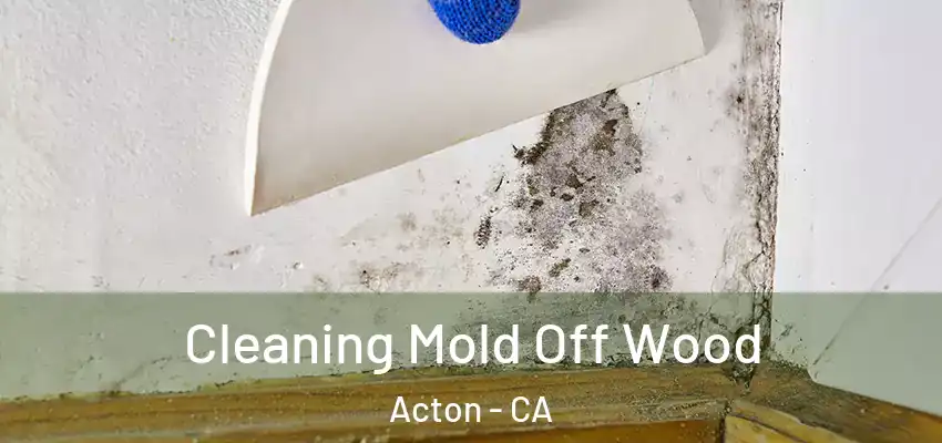  Cleaning Mold Off Wood Acton - CA