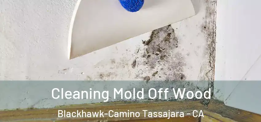  Cleaning Mold Off Wood Blackhawk-Camino Tassajara - CA