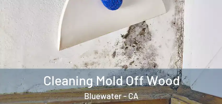  Cleaning Mold Off Wood Bluewater - CA