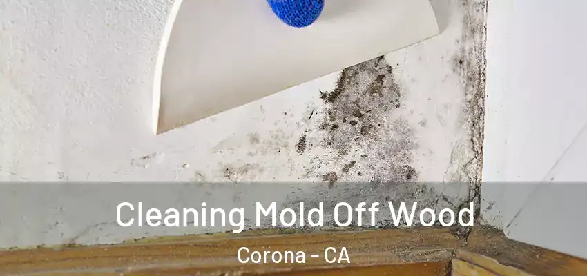  Cleaning Mold Off Wood Corona - CA