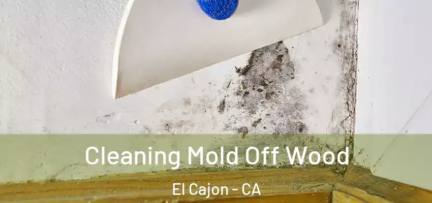  Cleaning Mold Off Wood El Cajon - CA