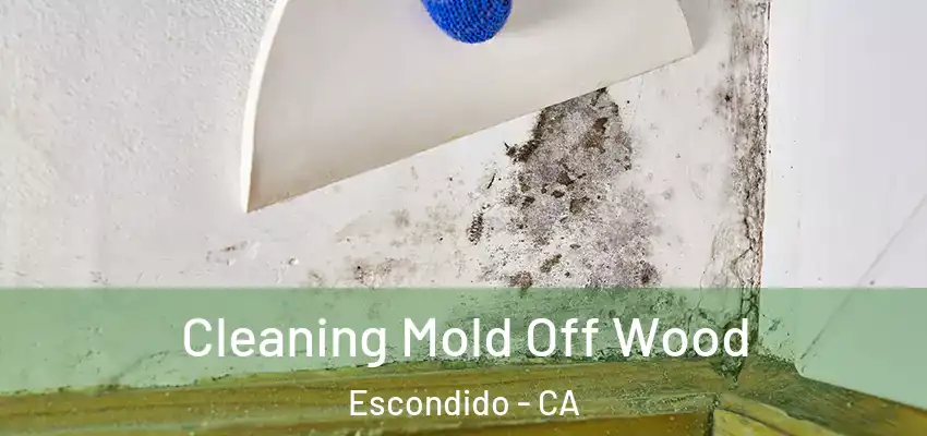  Cleaning Mold Off Wood Escondido - CA