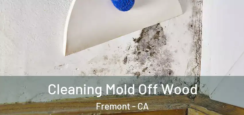  Cleaning Mold Off Wood Fremont - CA
