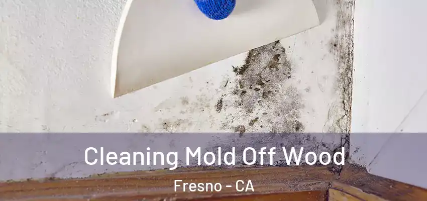  Cleaning Mold Off Wood Fresno - CA