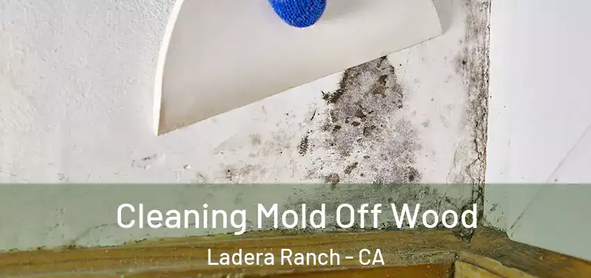  Cleaning Mold Off Wood Ladera Ranch - CA