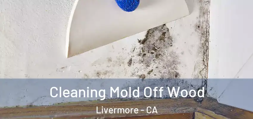  Cleaning Mold Off Wood Livermore - CA