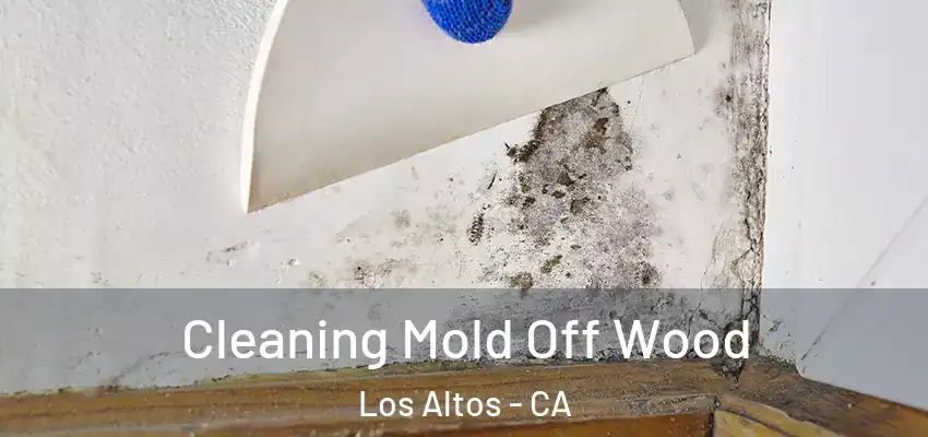  Cleaning Mold Off Wood Los Altos - CA