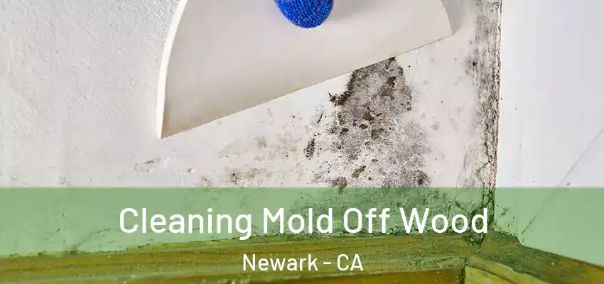  Cleaning Mold Off Wood Newark - CA
