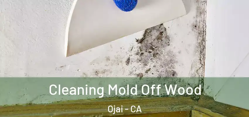  Cleaning Mold Off Wood Ojai - CA