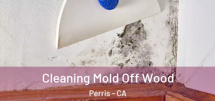  Cleaning Mold Off Wood Perris - CA