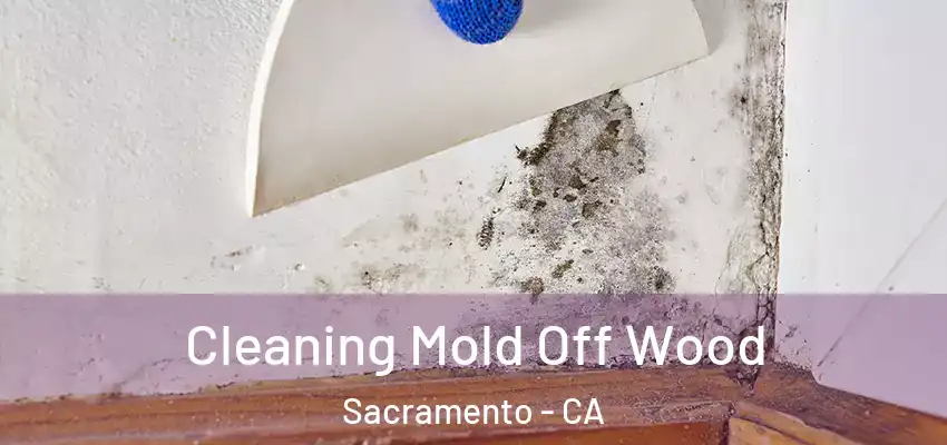  Cleaning Mold Off Wood Sacramento - CA