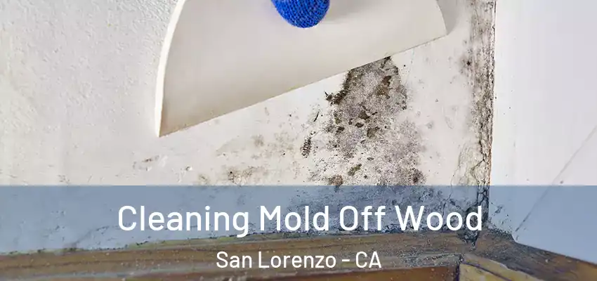  Cleaning Mold Off Wood San Lorenzo - CA