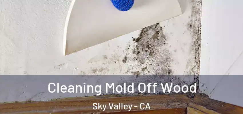  Cleaning Mold Off Wood Sky Valley - CA