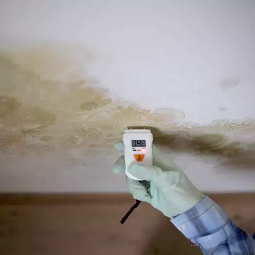 Reliable Mold Inspection Experts in Hesperia, CA