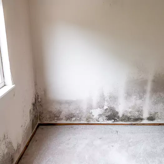 Trusted Mold on the Wall Experts in Hesperia, CA