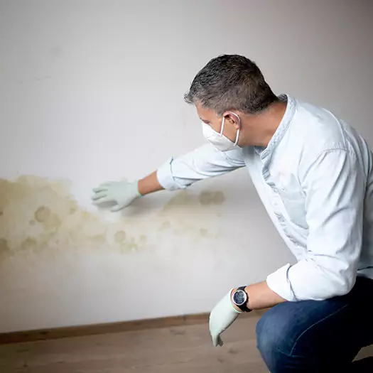 Trusted Mold Remediation and Removal Experts in Hesperia, CA