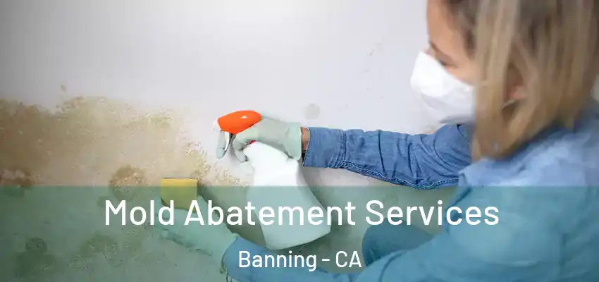  Mold Abatement Services Banning - CA