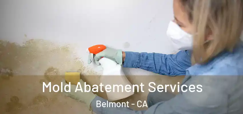  Mold Abatement Services Belmont - CA