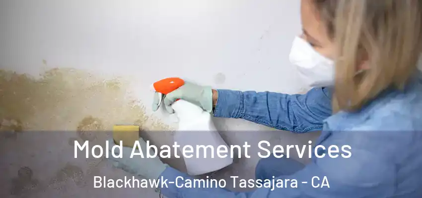  Mold Abatement Services Blackhawk-Camino Tassajara - CA