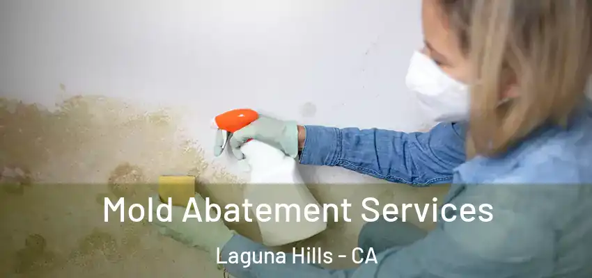  Mold Abatement Services Laguna Hills - CA