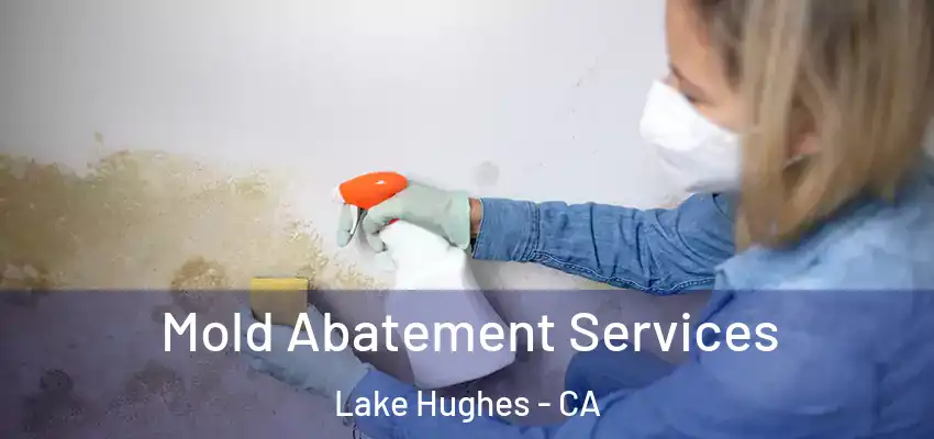  Mold Abatement Services Lake Hughes - CA