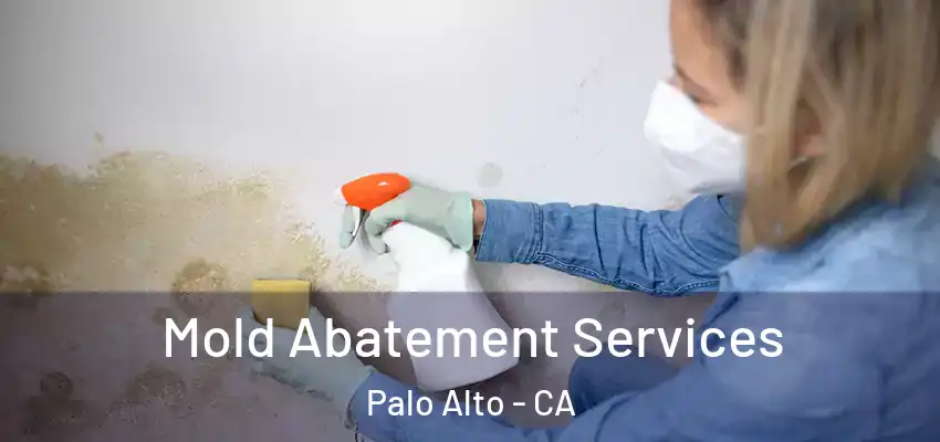  Mold Abatement Services Palo Alto - CA
