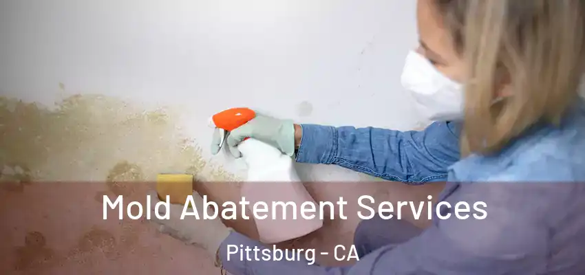  Mold Abatement Services Pittsburg - CA