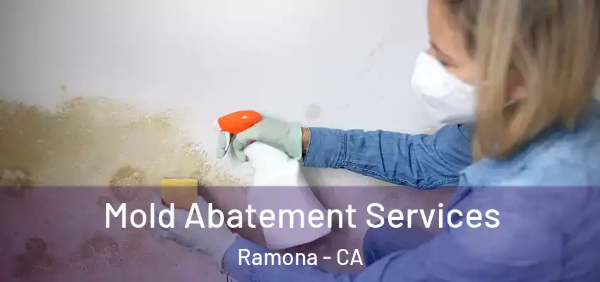  Mold Abatement Services Ramona - CA