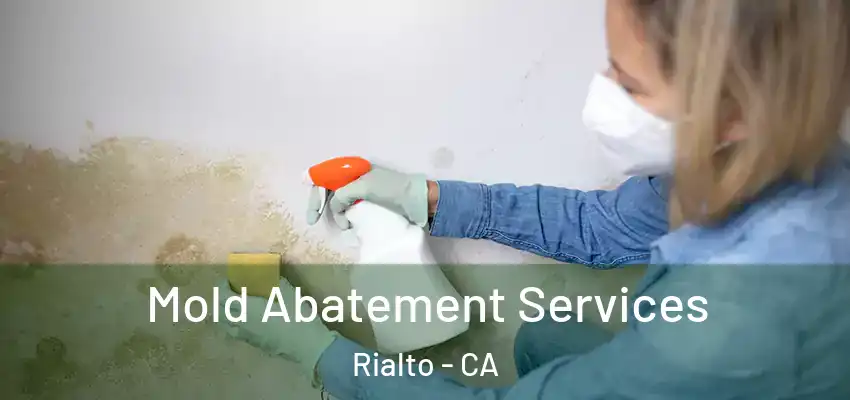  Mold Abatement Services Rialto - CA