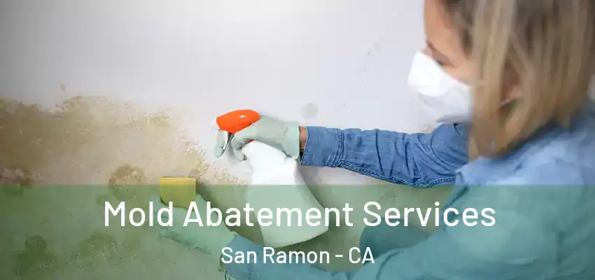  Mold Abatement Services San Ramon - CA