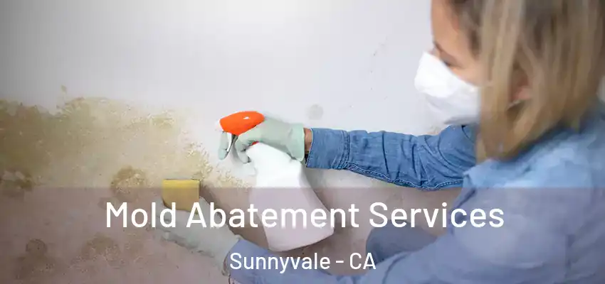  Mold Abatement Services Sunnyvale - CA