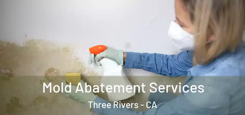 Mold Abatement Services Three Rivers - CA