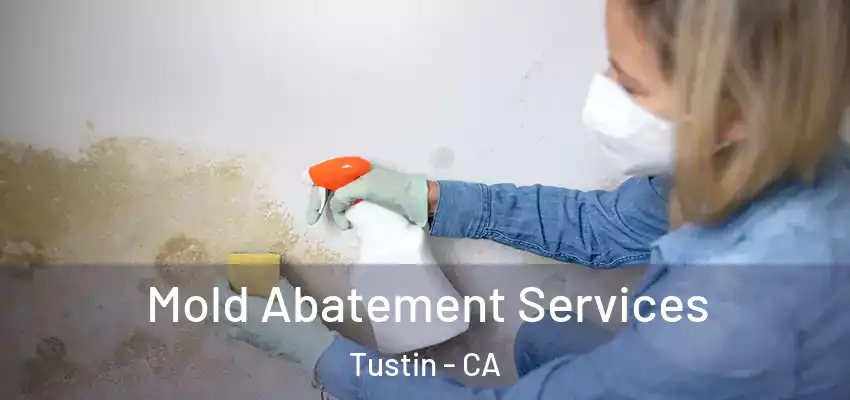  Mold Abatement Services Tustin - CA